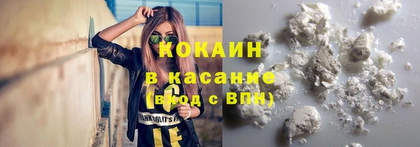 гашик Алексин