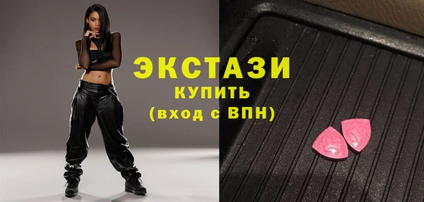 гашик Алексин