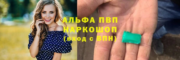 гашик Алексин
