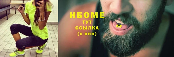 гашик Алексин