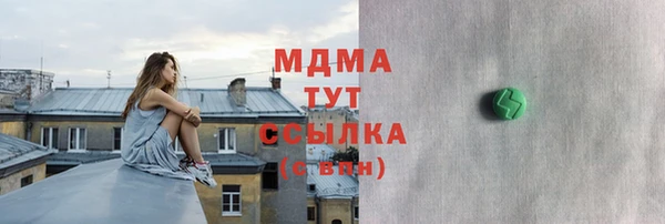 гашик Алексин