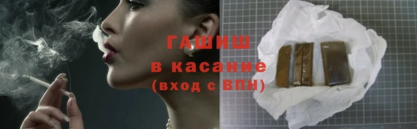 гашик Алексин