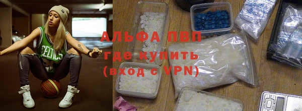 гашик Алексин
