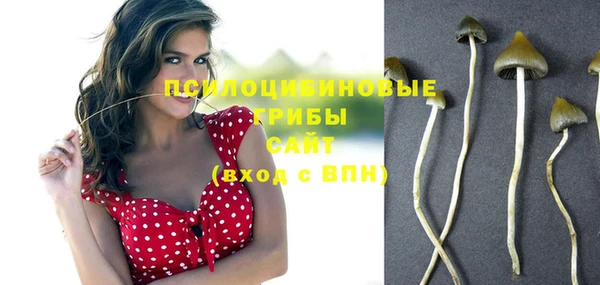 гашик Алексин