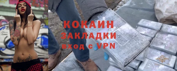 гашик Алексин