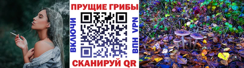 Псилоцибиновые грибы мицелий  kraken зеркало  Сорочинск 