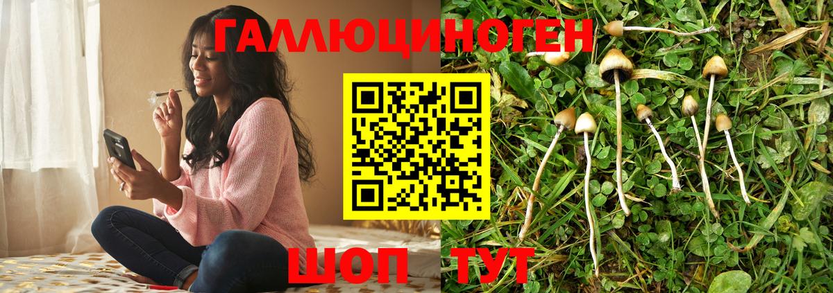 Сорочинск  Псилоцибиновые грибы Psilocybine cubensis  как найти закладки  Вход с VPN 