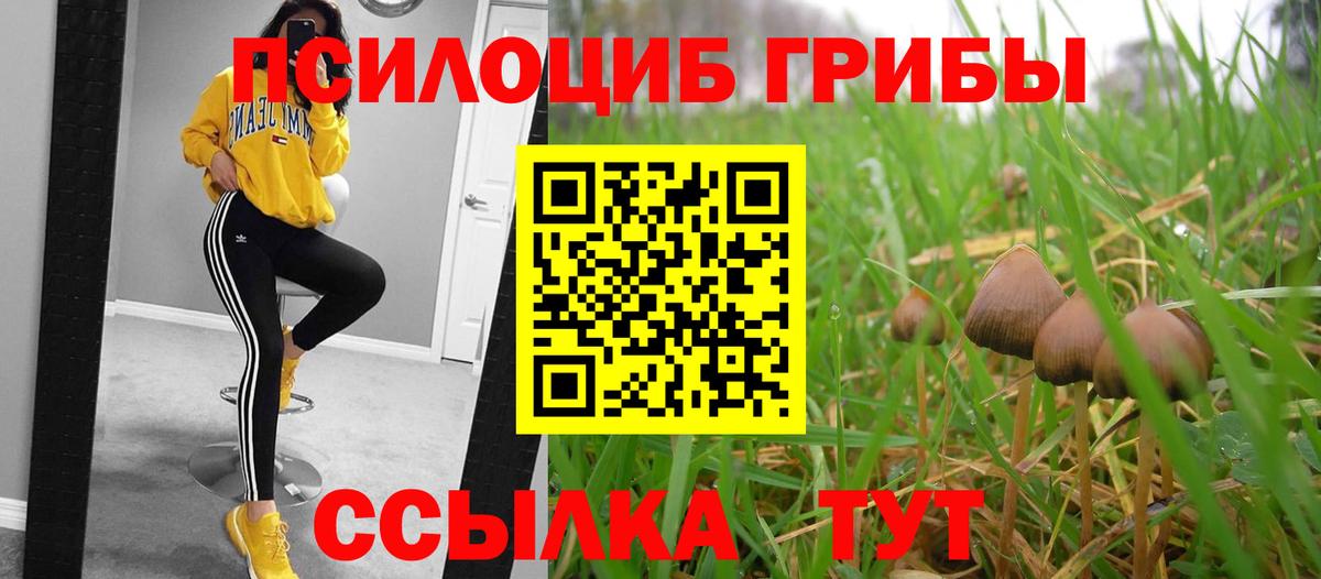 Галлюциногенные грибы Magic Shrooms Сорочинск